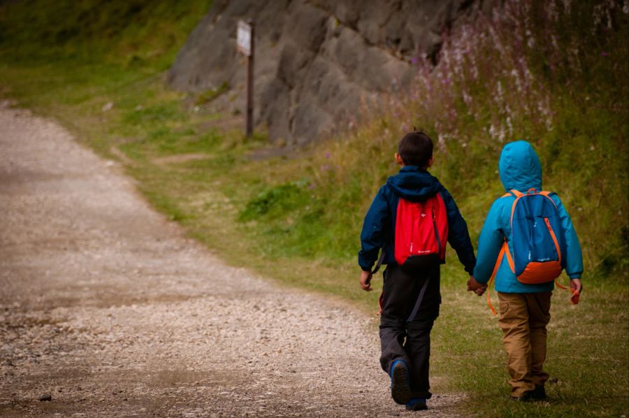 Zwei Kinder Hand in Hand in der Natur.