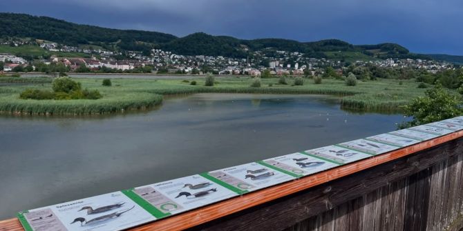 klingnauer stausee entsorgung