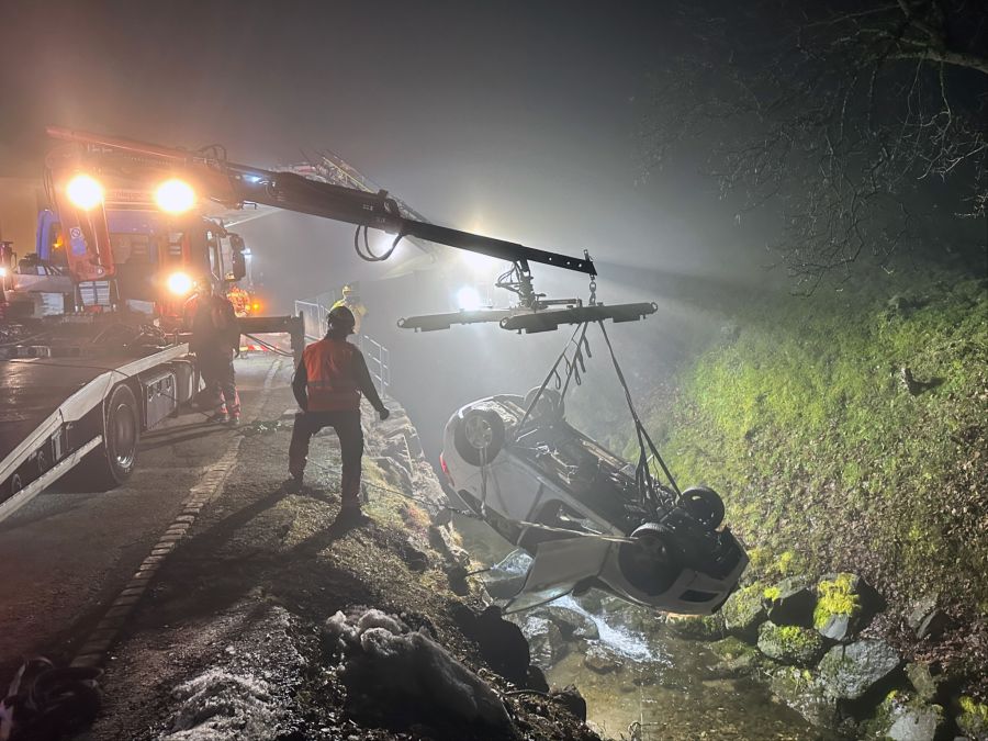 Das Auto konnte geborgen werden.