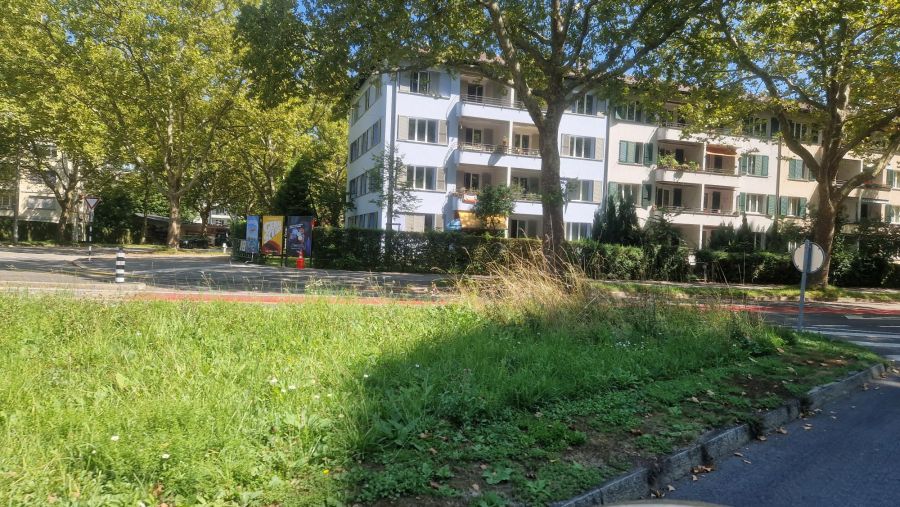 Der BMW-Fahrer parkierte sein Auto auf dem roten Velostreifen.