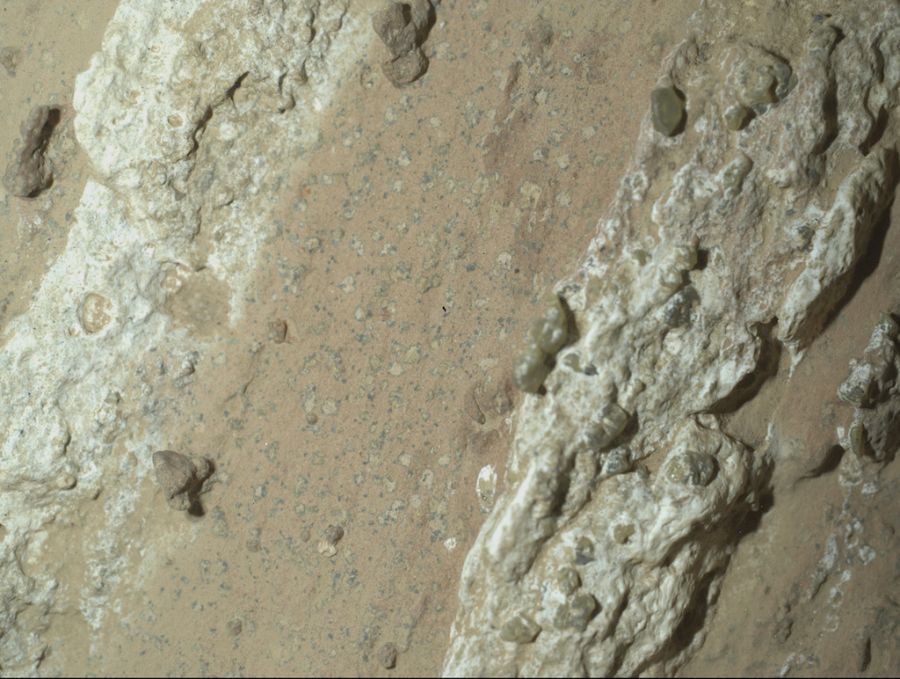leben mars