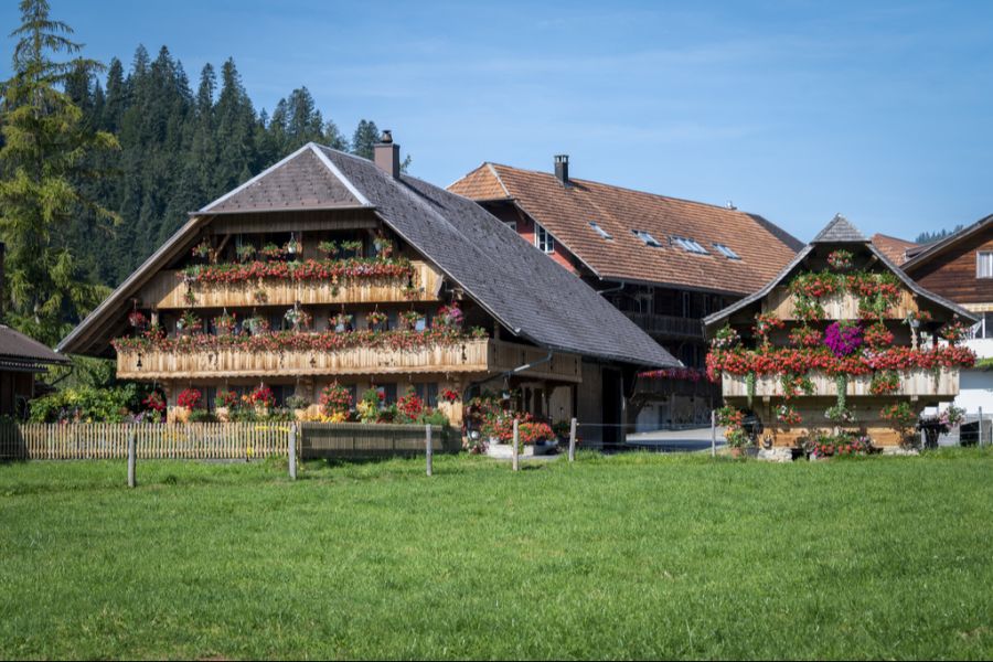 Stösst die Schwiegertochter zur Bauernfamilie, kommt es oft zu Streit. (Symbolbild)