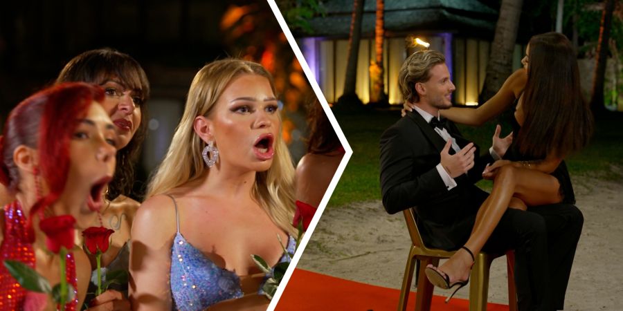 Der Bachelor