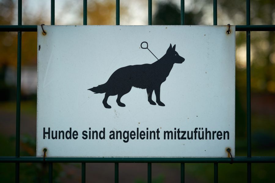 Schild Zaun Hunde Leine