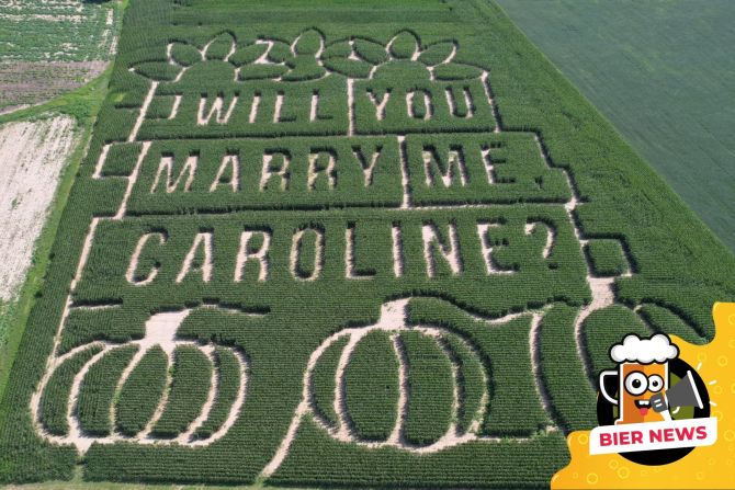 Bauer Maisfeld Labyrinth Heiratsantrag