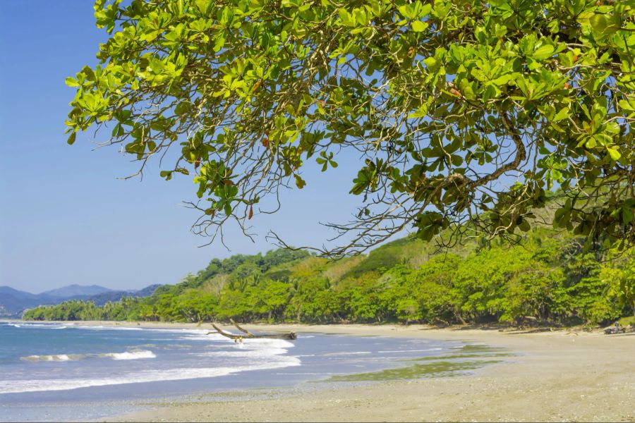 Playa Manzanillo, Costa Rica