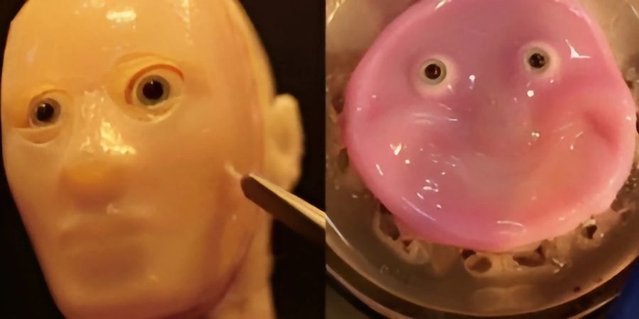 3-D-Gesichtsformen und ein 2-D-Hautroboter mit lebender Haut gehören zu den Entwicklungen der Forscher aus Tokio.