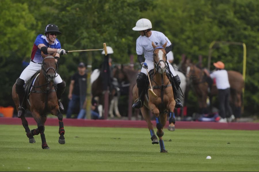 Prinz William spielte am Freitag an einem Wohltätigkeits-Poloturnier.