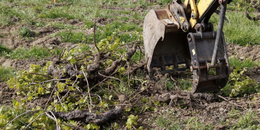 Die Obwaldner Gemeinde Sarnen lässt im Ortsteil Ramersberg einen illegal erstellten Schopf rückbauen. (Symbolbild)