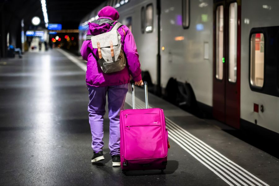 Doch der Kauf eines Tickets ist umständlich.