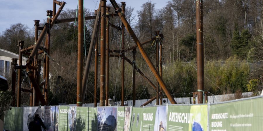 Auf der Baustelle der Pantanal-Voliere herrscht derzeit Stillstand. Der Zoo Zürich hat die Zusammenarbeit mit der Stahlbaufirma beendet.
