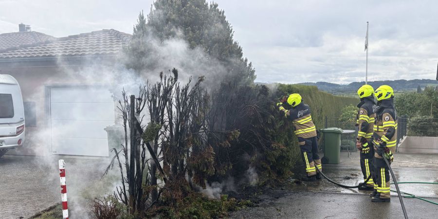 Thunjahecke Brand Züberwangen