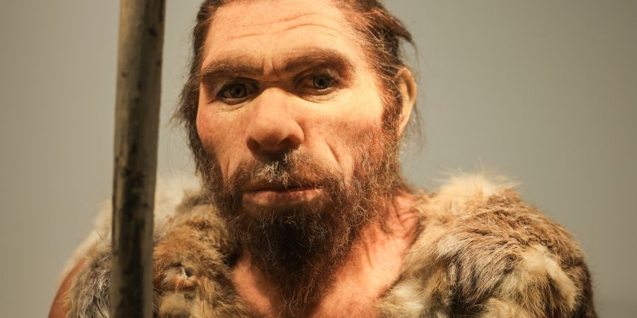 Neandertaler