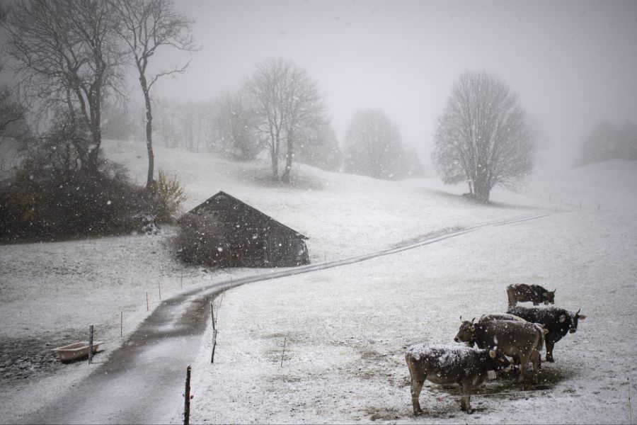 Zwischen Samstagnachmittag und Sonntagvormittag fällt in den Bergen etwas Neuschnee: Oberhalb von 1500 Metern gibt es 1 bis 10 Zentimeter. (Symbolbild)