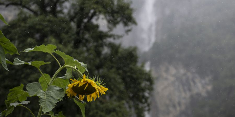 Wenn es regnet, gelangt die Ewigkeitschemikalie TFA aus der Luft ins Gewässer. Wie schädlich die Chemikalie für Mensch und Umwelt ist, ist noch nicht vollständig geklärt. (Symbolbild)