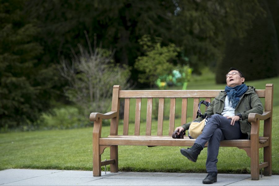 Bäume, Wasserelemente und Geländemodellierung tragen positiv zur Erholung in Parks bei.