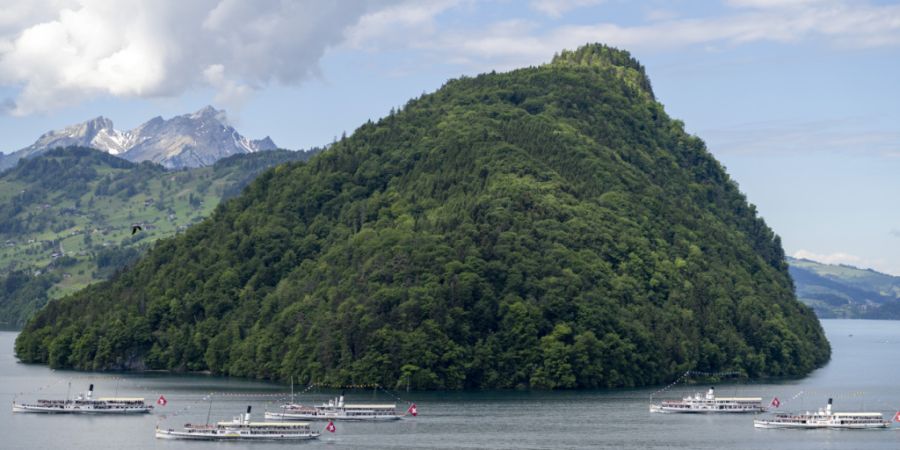 Die Fahrt mit der Dampferparade war seit Wochen ausgebucht, wie ein Sprecher der Schifffahrtsgesellschaft der Nachrichtenagentur Keystone-SDA auf Anfrage sagte.