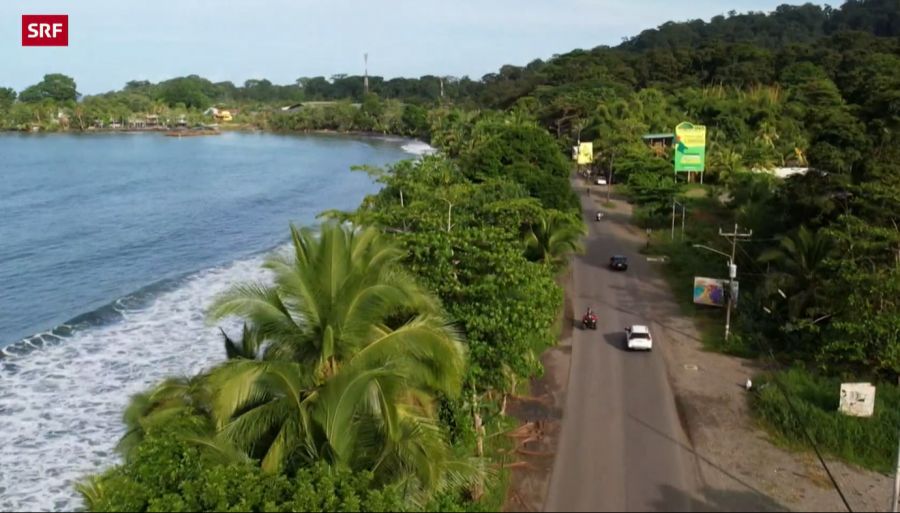 Die Familie Burkhalter hat in Cahuita ein passendes Grundstück gefunden.