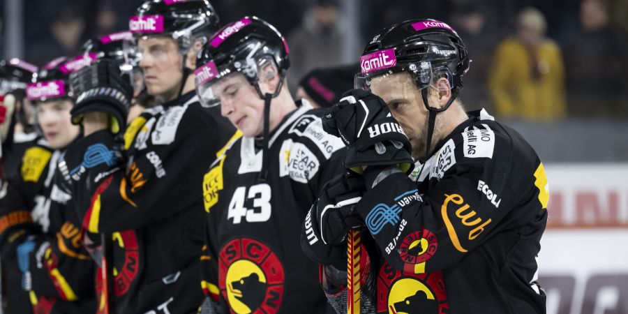 SC BErn
