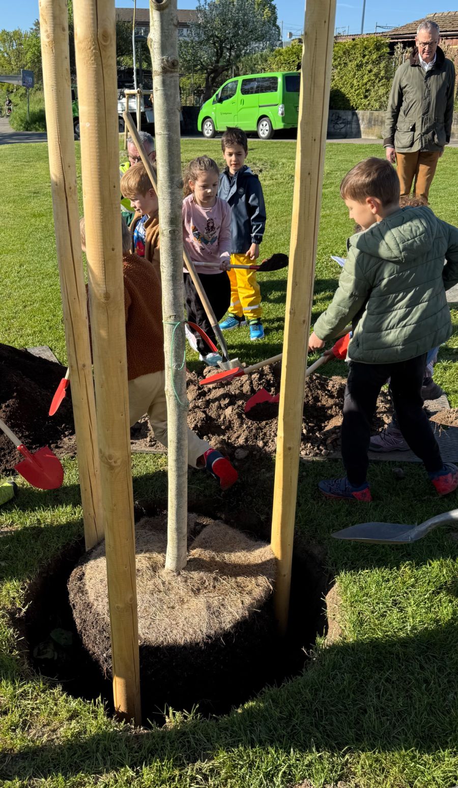 Mehrere Kindergärtlerinnen und -gärtler pflanzten am Freitag eine Zitterpappel. Anwesend war auch der Leiter der Stadtgärtnerei, Emanuel Trueb.