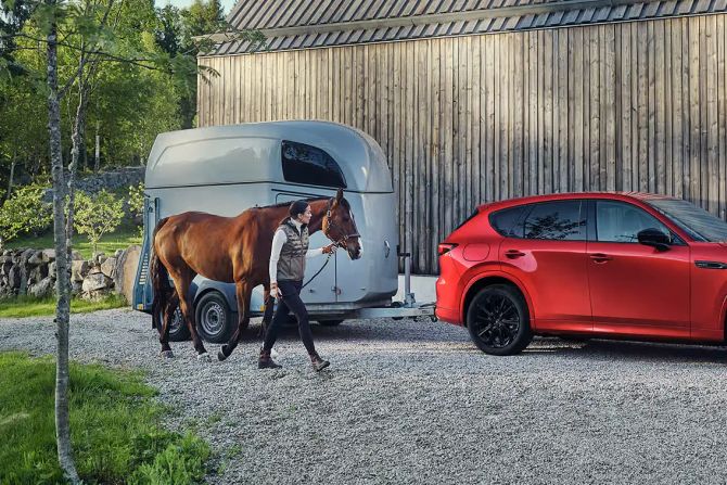 Mazda CX60 - Pferdeanhänger