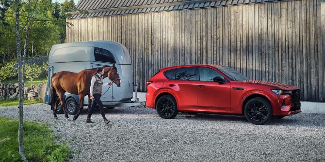 Mazda CX60 - Pferdeanhänger