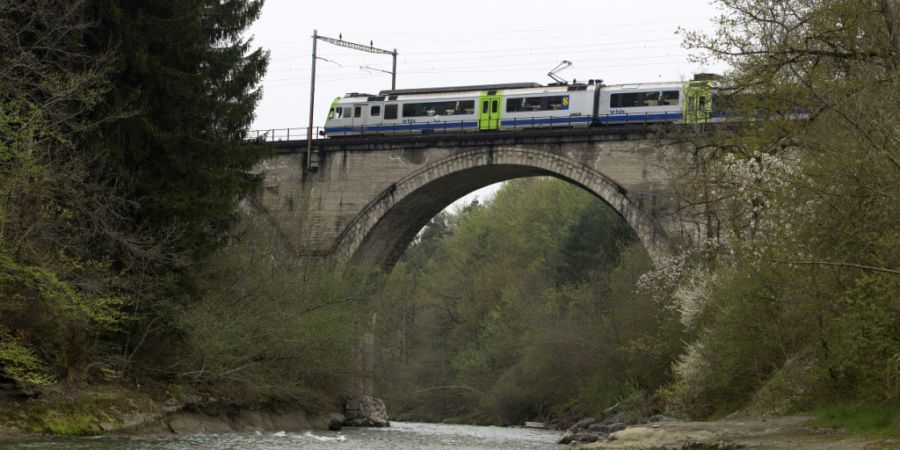 Die Sense bei Thörishaus ist ein beliebtes Erholungsgebiet. (Archivbild)