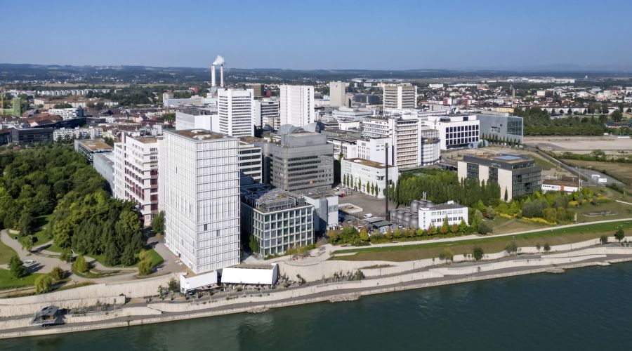 Novartis machte letztes Jahr einen Gewinn von 17,4 Milliarden US-Dollar.