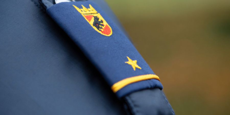 Die Kantonspolizei Bern stand am Freitag wegen eines Rehs auf der A6 im Einsatz. (Symbolbild)