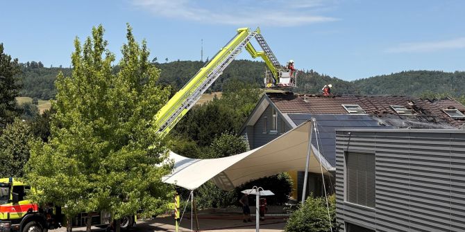 brand Elgg