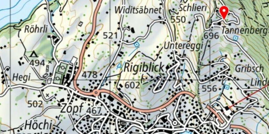 Nach Hangbewegungen im Frühling ist oberhalb von Weggis eine Strasse unter Auflagen wieder befahrbar.