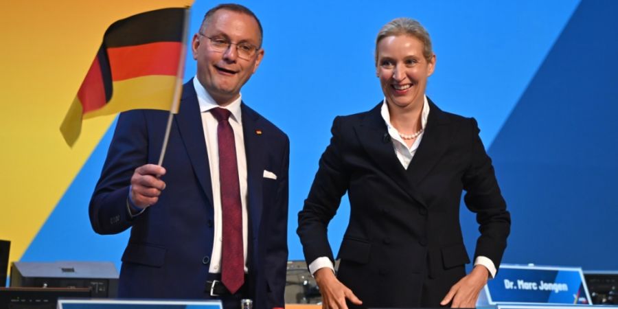 Alice Weidel und Tino Chrupalla sind als Parteivorsitzende der AfD wiedergewählt worden. Foto: Katharina Kausche/dpa