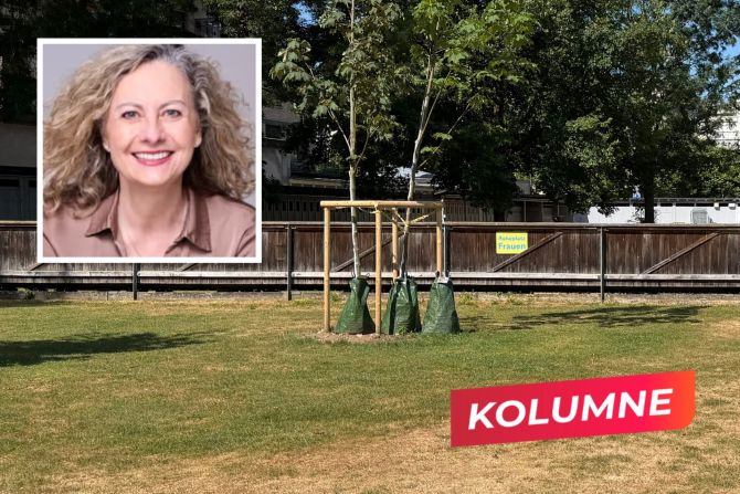 oeuvray kolumne