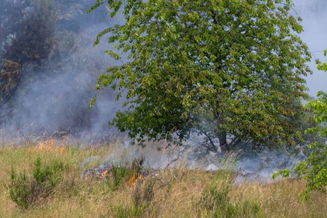 Waldbrand