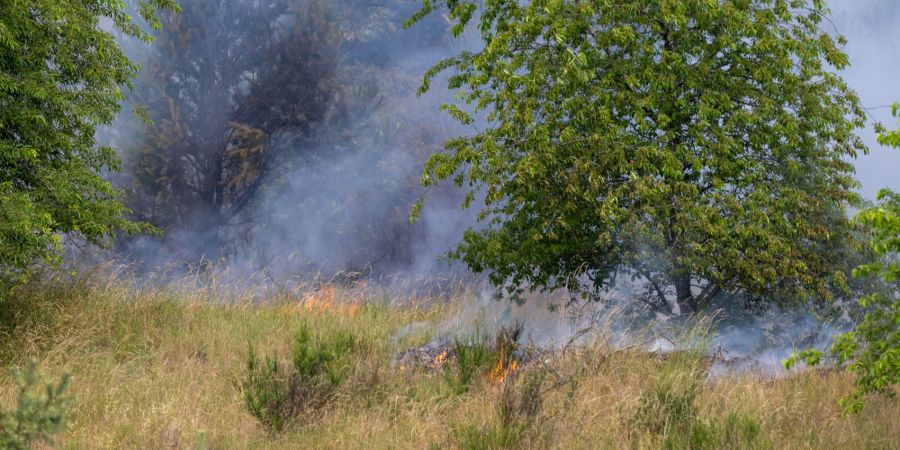 Waldbrand