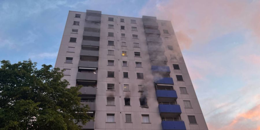 Laut der Kantonspolizei steht ein technischer Defekt als Brandursache im Vordergrund.