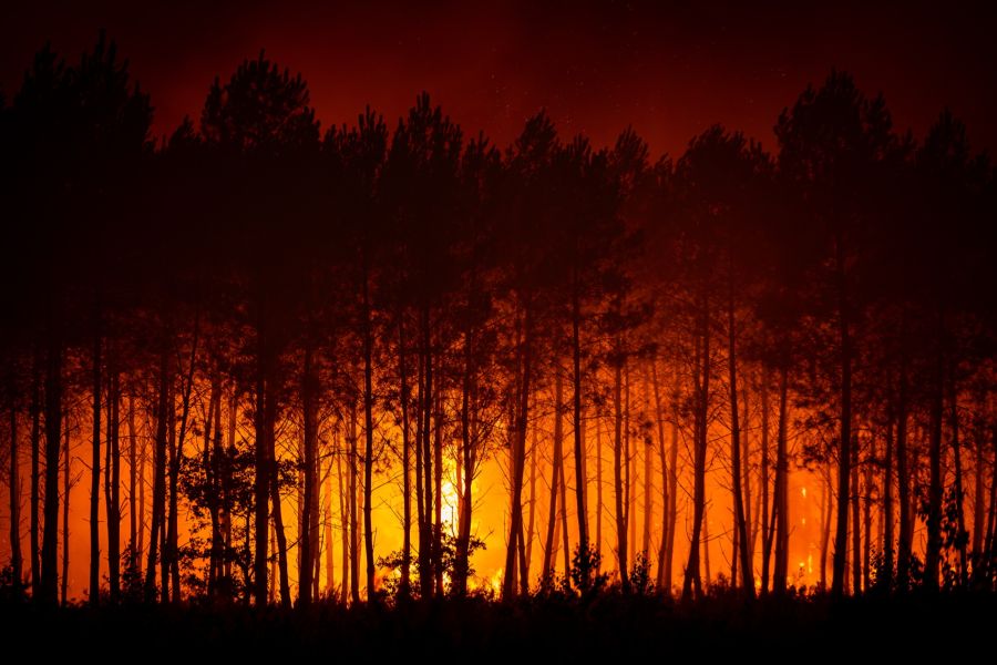 Noch immer brennen die Wälder rund um Bordeaux in Frankreich lichterloh.