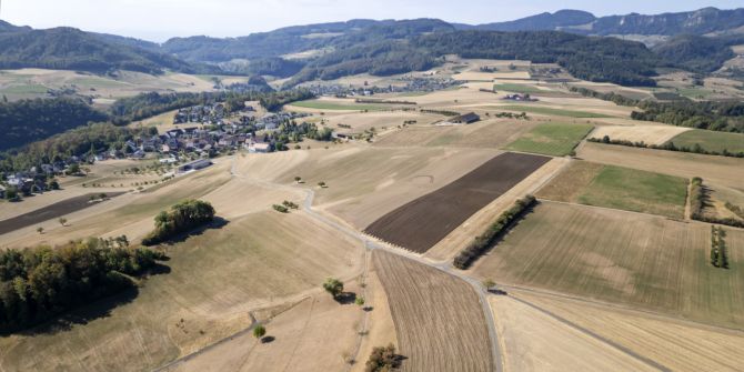 Trockenheit Hitze Schweiz