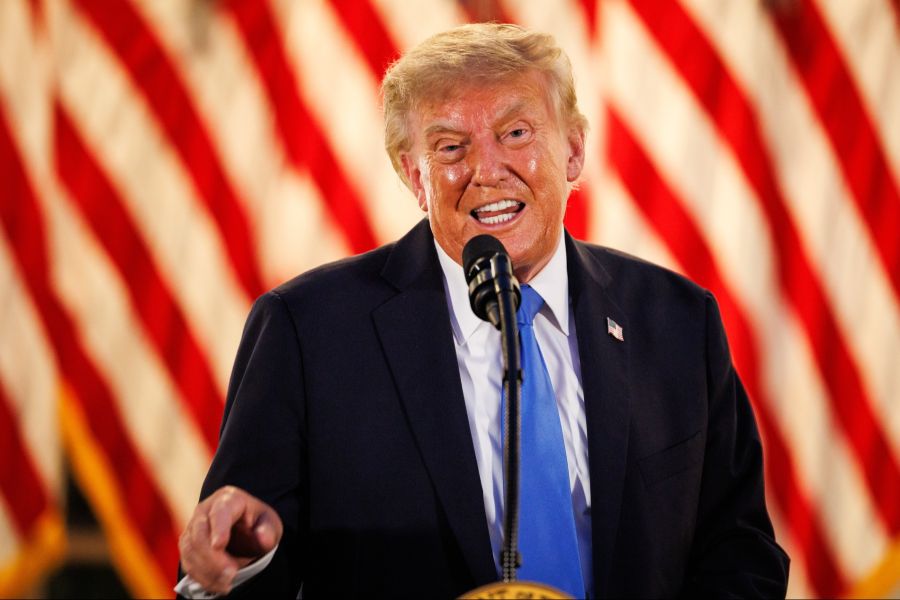 Donald Trump AfD