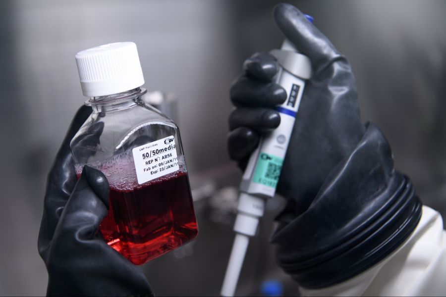 Bei einem Hirntumor wirkt eine Immuntherapie vor einer Operation besser als danach.