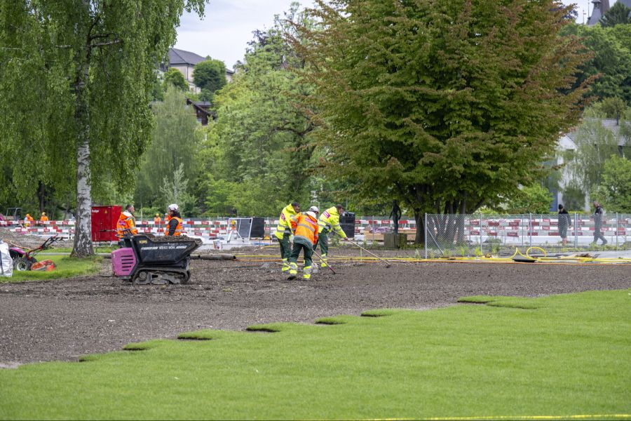 Bei aktuellen Sanierungen wie dem Freibad Marzili wurden laut dem Sportamt der Stadt Bern bewusst mehr Bäume gepflanzt.