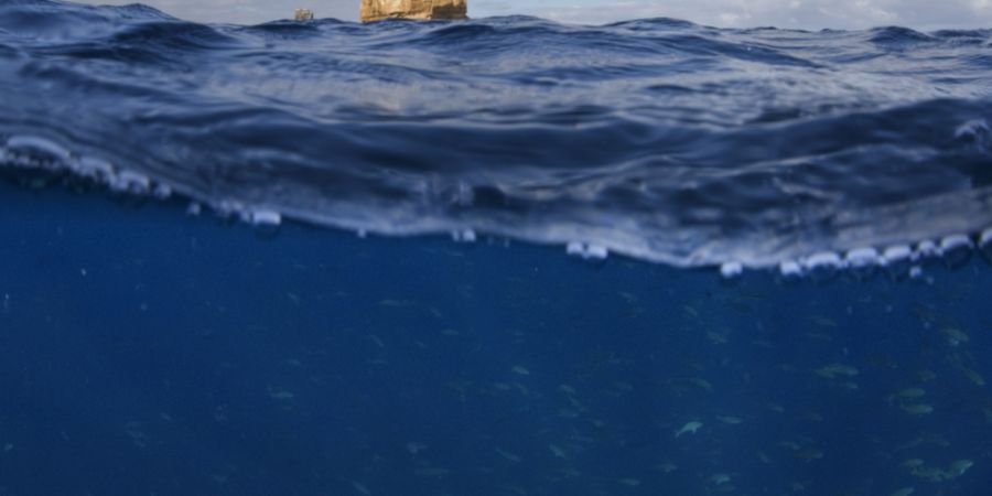 Nahe der Isla Darwin im äussersten Nordwestens des Galápagos-Archipels steuerte die Besatzung einen ferngesteuerten Unterwasserroboter (ROV) über den Meeresboden. (Archivbild)