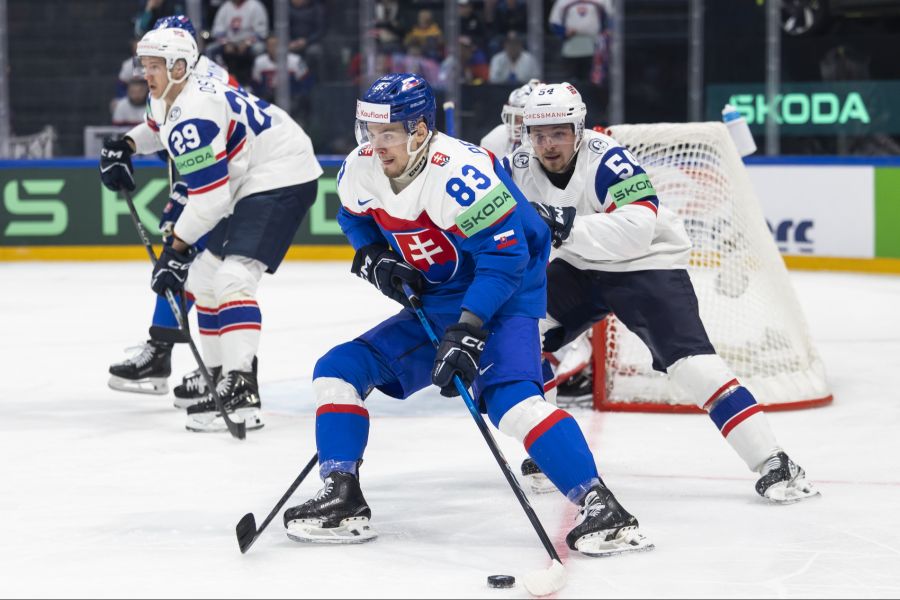 Slowakei Eishockey-Wm