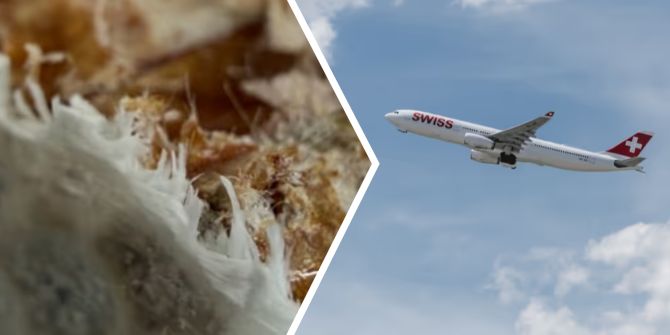 Flugzeug Recycling