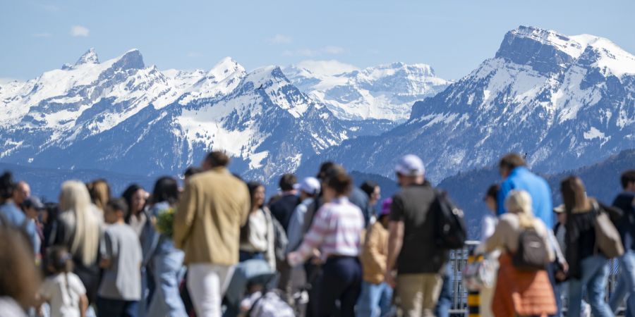 Schweizer Berge