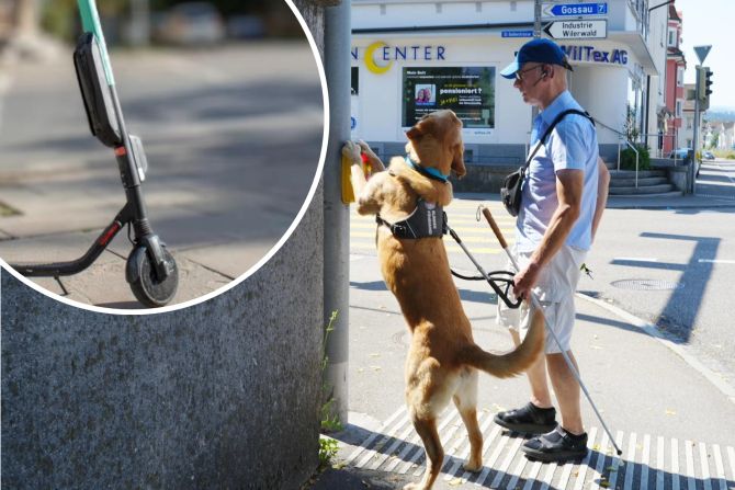 Der Begleithund Dyson drückt für Guido Böhler die Ampel.
