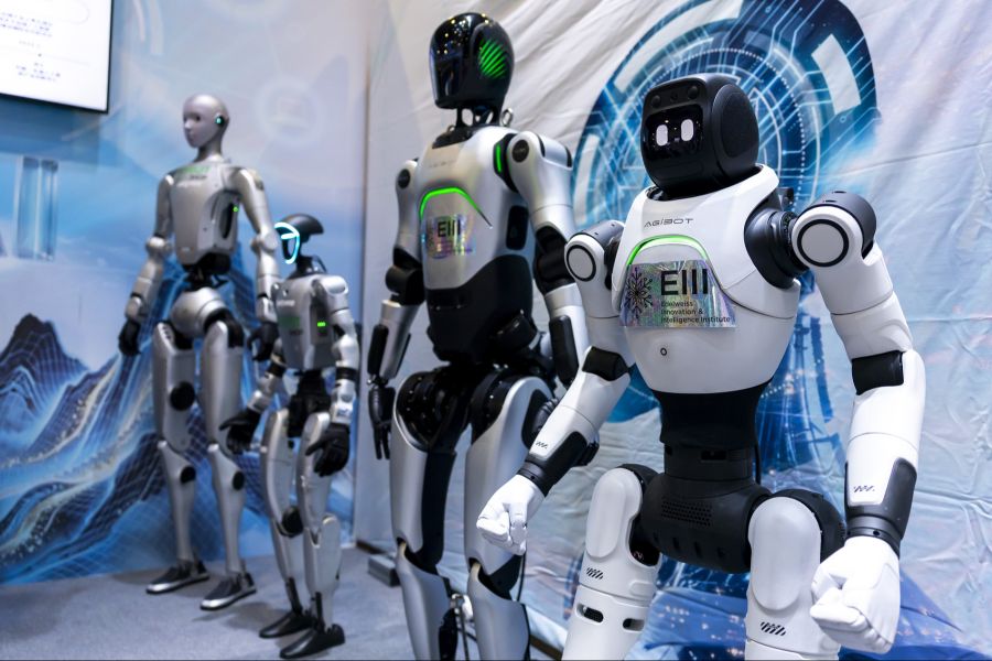 Eine Beziehung zu Gegenständen wie beispielsweise Häusern und Robotern sei entspannter als in Europa, da Gegenstände dort auch eine Seele hätten.