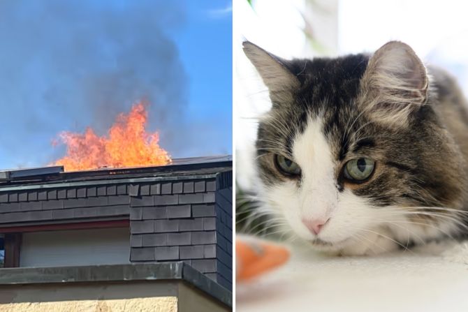 brand in baselland