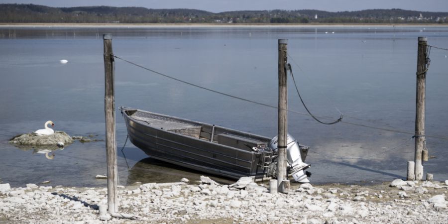 Wegen zu wenig Regen und Schmelzwasser lag der Wasserstand am Bodensee auch letztes Jahr schon sehr tief. (Archivbild)