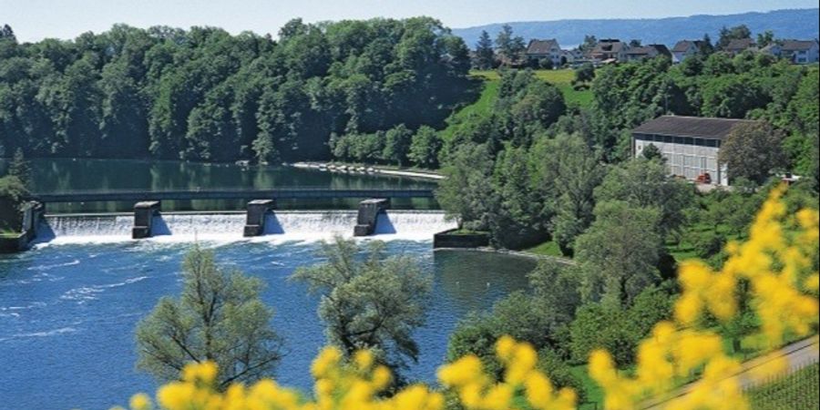 Rheinau